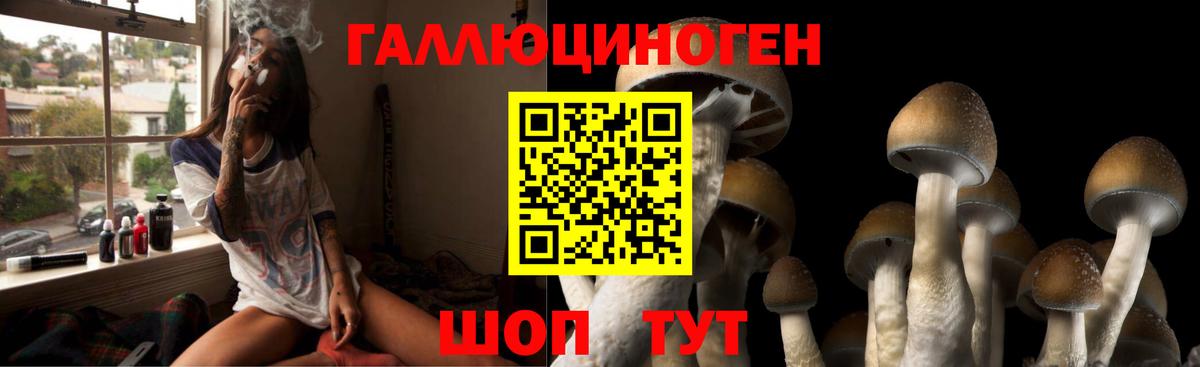 Галлюциногенные грибы мухоморы  сколько стоит  Псилоцибиновые грибы ЛСД  Волжский 